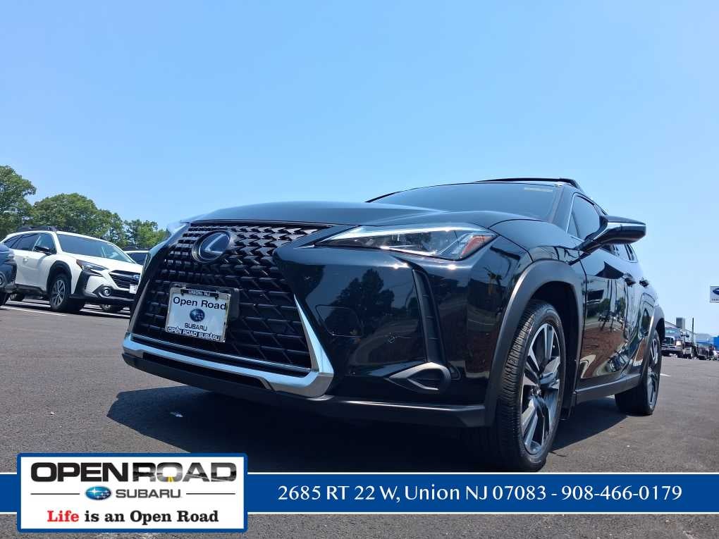 2021 Lexus UX 250h 