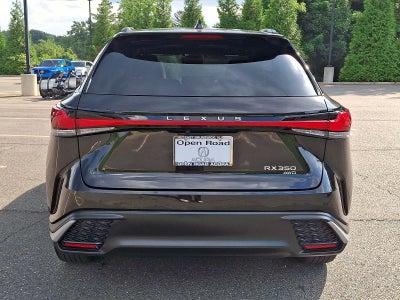 2023 Lexus RX RX 350 F SPORT Handling AWD