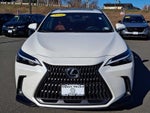 2024 Lexus NX NX 250 FWD