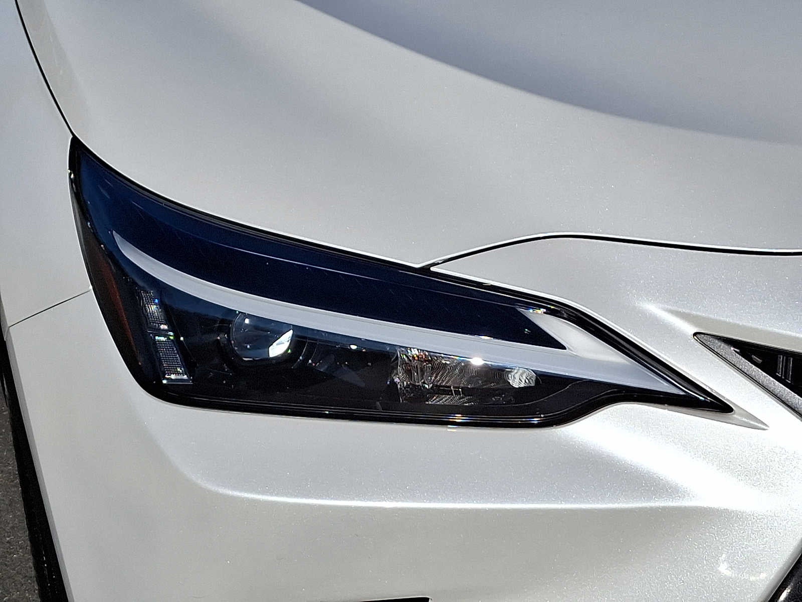 2024 Lexus NX NX 250 FWD