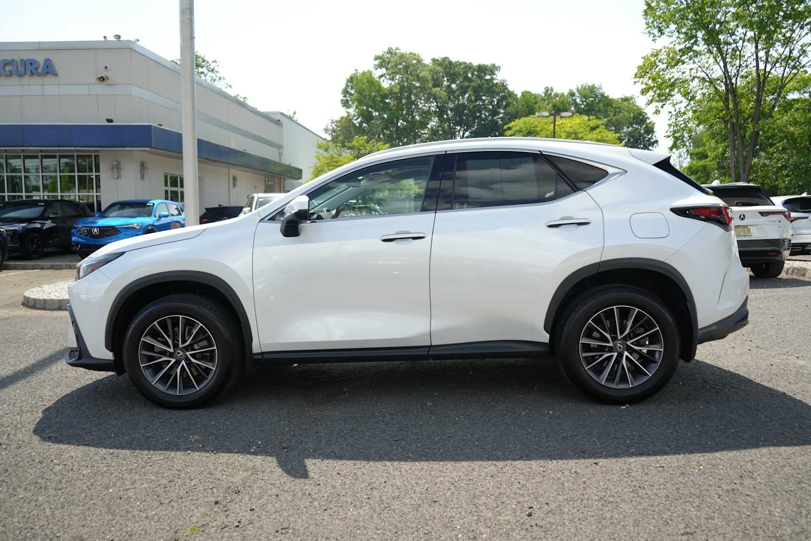 2025 Lexus NX NX 350 Premium AWD