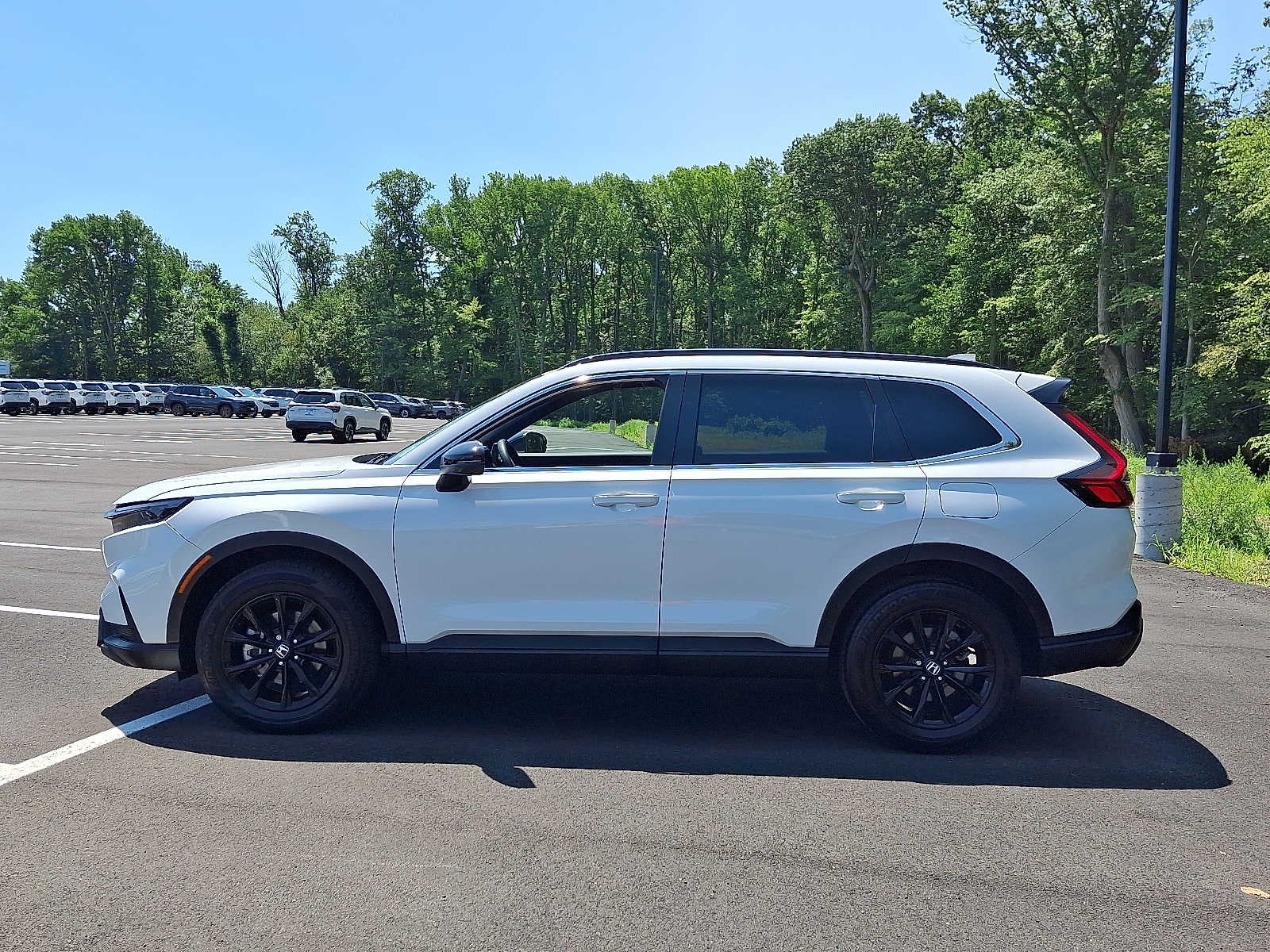 2023 Honda CR-V Hybrid Sport AWD w/o BSI
