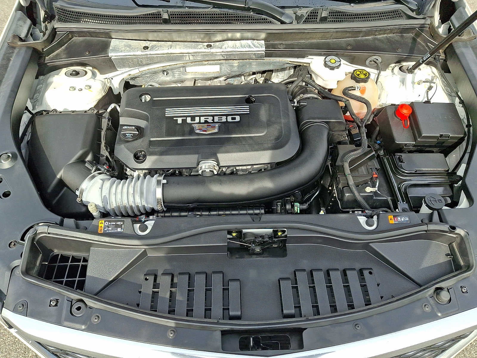 2024 Cadillac XT4 AWD 4dr Premium Luxury