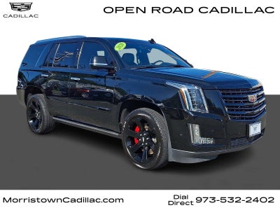 2020 Cadillac Escalade 4WD 4dr Platinum
