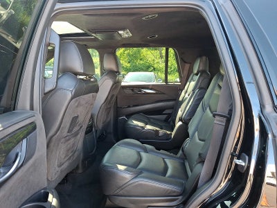 2020 Cadillac Escalade 4WD 4dr Platinum