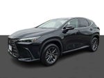 2024 Lexus NX NX 350 AWD