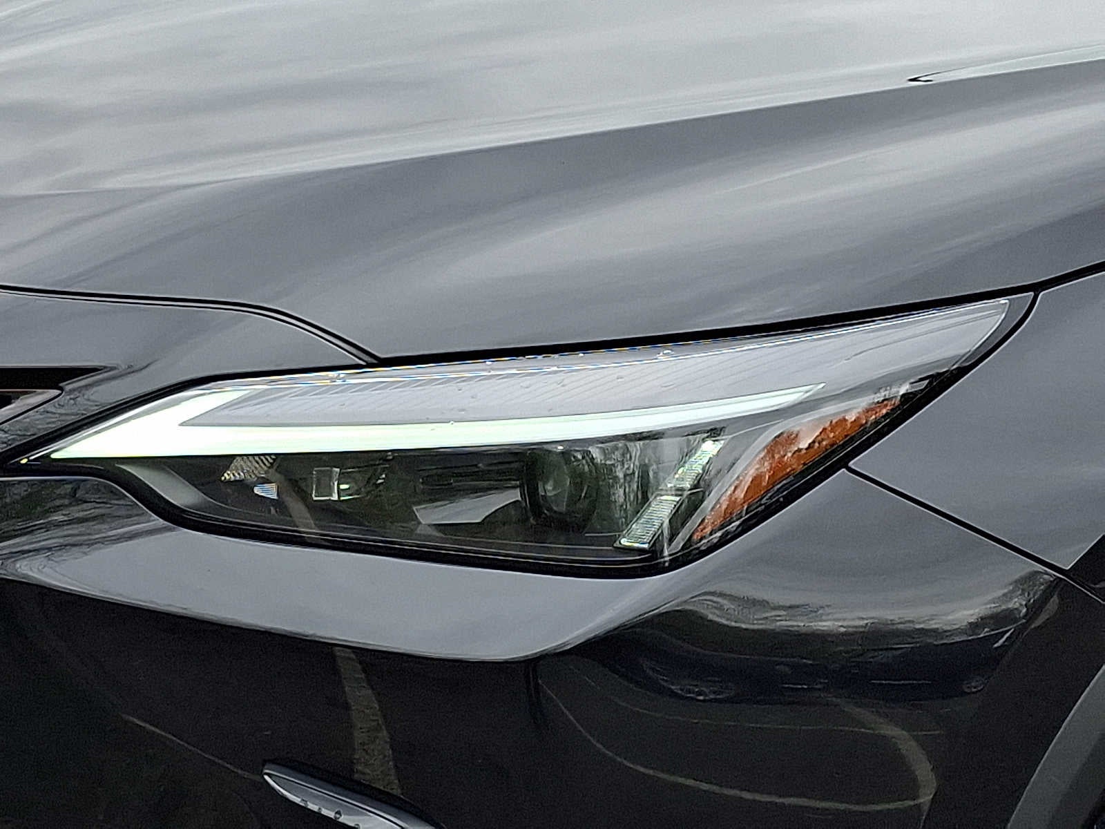 2024 Lexus NX NX 350 AWD