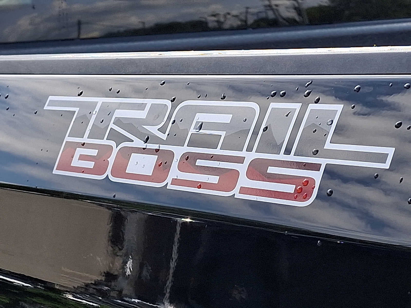 2022 Chevrolet Silverado 1500 4WD Crew Cab 147 LT Trail Boss