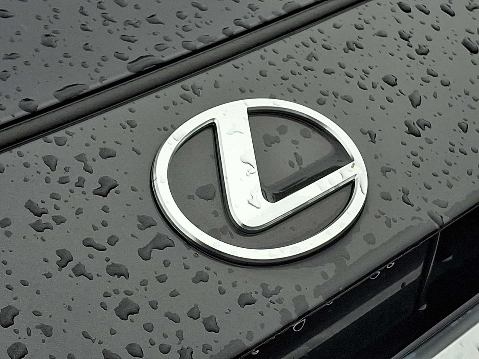 2024 Lexus TX TX 350 Premium AWD