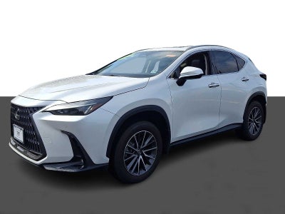 2025 Lexus NX NX 350 Premium AWD