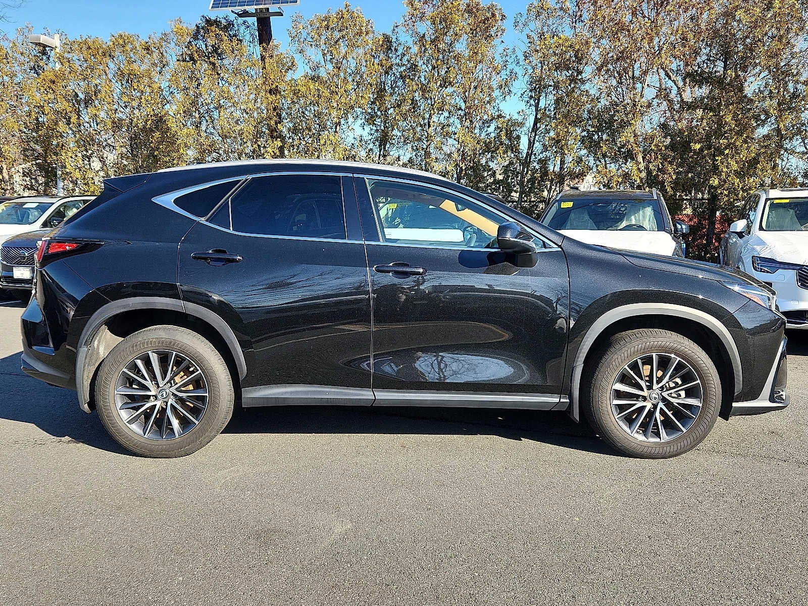 2023 Lexus NX 350 Premium