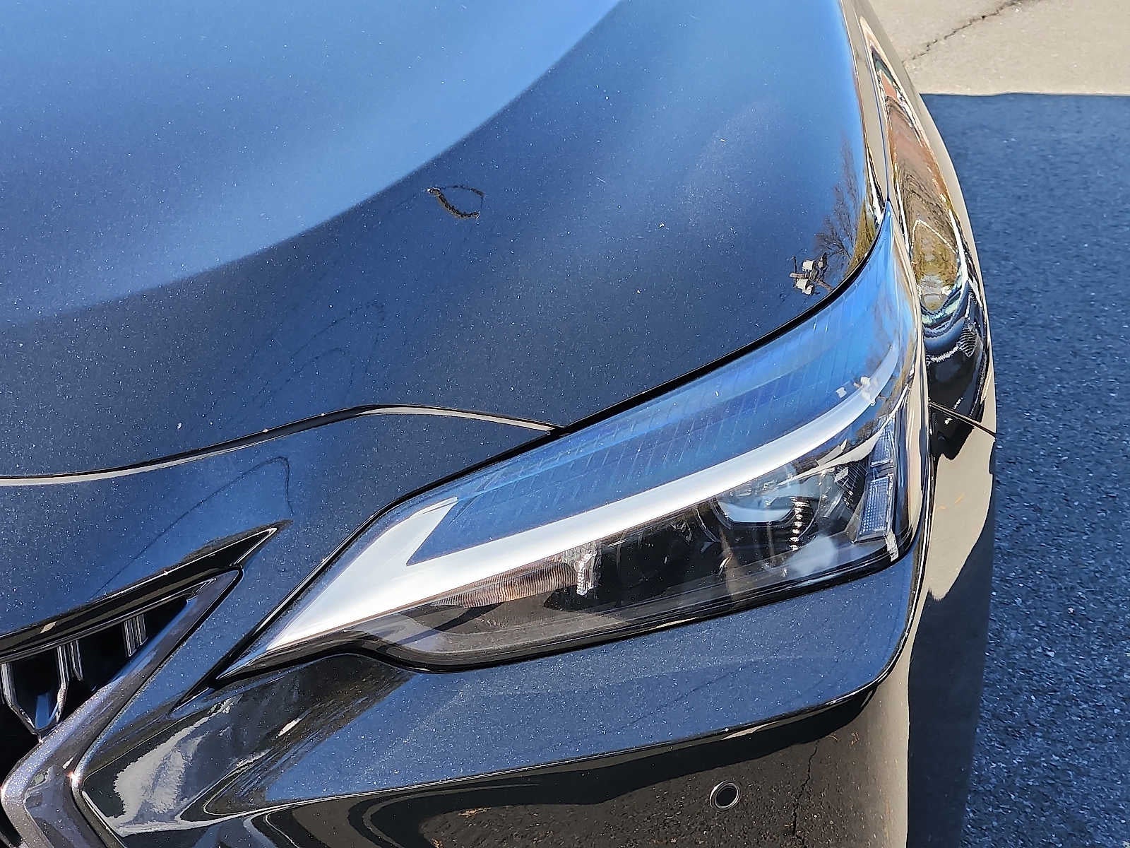 2023 Lexus NX 350 Premium