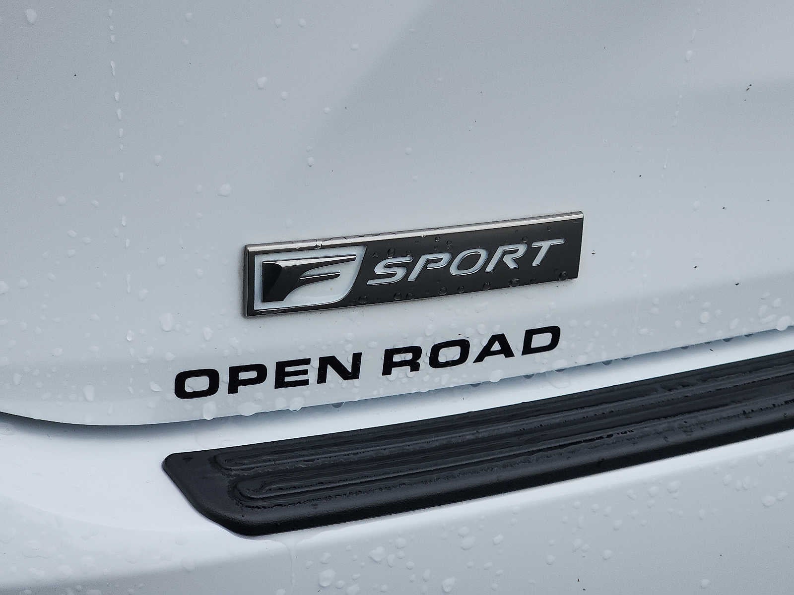 2020 Lexus RX 450h F SPORT